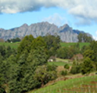 Lake Barrington Vineyard - Taree Accommodation