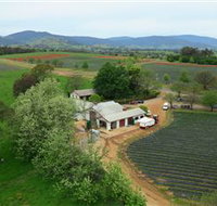 Schmidts Strawberry Winery - Taree Accommodation