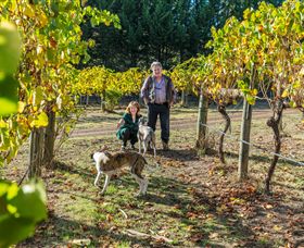 Taggerty VIC Taree Accommodation