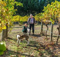 Little River Wines of Taggerty - Taree Accommodation