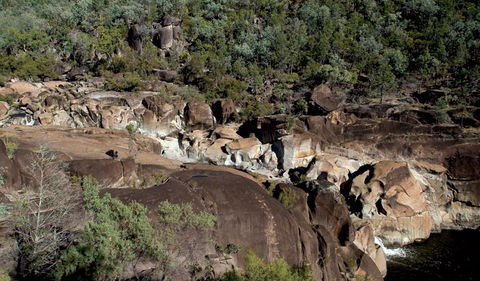 Kwiambal National Park - Taree Accommodation 1