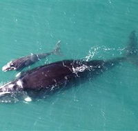 Fazshot Photography - Taree Accommodation