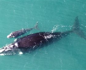 Fazshot Photography - Taree Accommodation 0