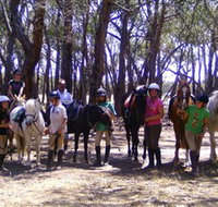 Bellarine Horse Riding Centre - Taree Accommodation