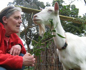 Karmic Goat Soapworks - Taree Accommodation 2