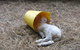 Karmic Goat Soapworks - thumb 7