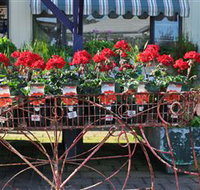 Van Loon's Nursery - Taree Accommodation