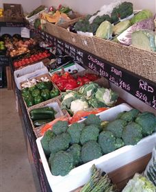 Farmers Harvest - Taree Accommodation 1