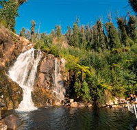 Steavenson Falls Marysville - Taree Accommodation
