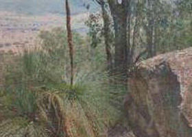 Burrowye VIC Taree Accommodation