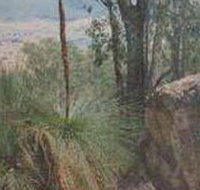 Mount Lawson State Park - Taree Accommodation