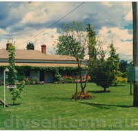 Tumut Valley Violets - Taree Accommodation