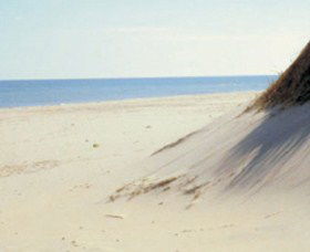 Lilley's Beach - Taree Accommodation 2