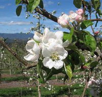 Mouat's Farm - Taree Accommodation