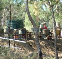 7 Oaks Sapphire Fossicking - Taree Accommodation