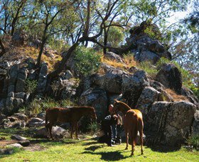 Taree Accommodation