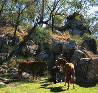 Coomba Falls - Taree Accommodation