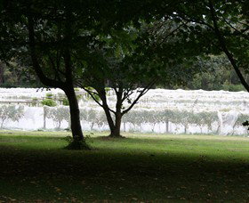 Staindl Wines - Taree Accommodation 0