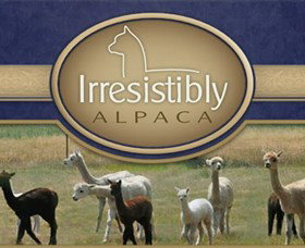 Marchmont Park Alpacas - Taree Accommodation 0