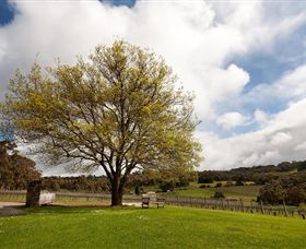 Tuck's Ridge - Taree Accommodation 2