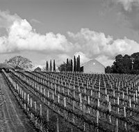 Willow Creek Vineyard - Taree Accommodation