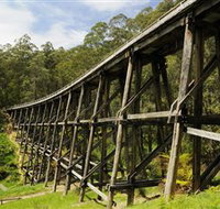 Noojee Trestle Bridge - Taree Accommodation