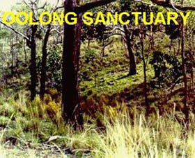 Oolong Sanctuary - Taree Accommodation 0