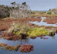 French Island National Park - Taree Accommodation
