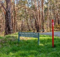 Lobs Hole Ravine 4WD Trail - Taree Accommodation