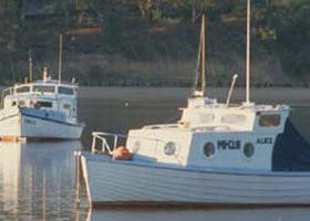 Western Port - Taree Accommodation 0