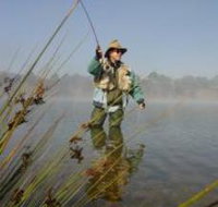 Lake Wallace - Taree Accommodation