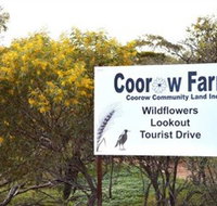 Coorow Farm Wildflower Trail - Taree Accommodation
