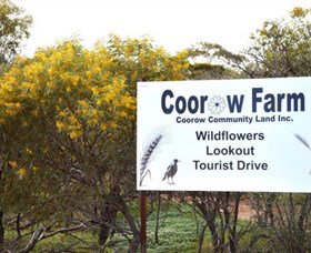 Coorow Farm Wildflower Trail - Taree Accommodation 0