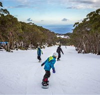 Mt Baw Baw Alpine Resort - Taree Accommodation