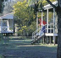 Dryandra Woodland - Taree Accommodation