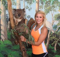 Maru Koala and Animal Park - Taree Accommodation