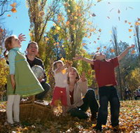 Cotter Avenue recreation area - Taree Accommodation