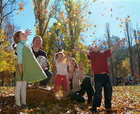 Cotter Avenue Recreation Area - Taree Accommodation 0