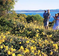 Joseph Banks Conservation Park - Taree Accommodation