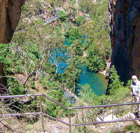 Carlotta Arch walking track - Taree Accommodation