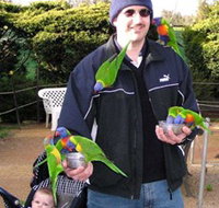 Canberra Walk In Aviary - Taree Accommodation