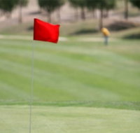 Gold Creek Country Club - Taree Accommodation