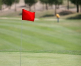 Gold Creek Country Club - Taree Accommodation 0