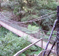 Jenolan River walking track - Taree Accommodation