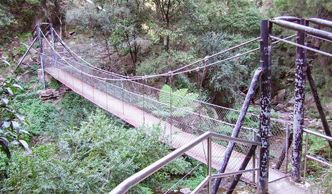 Jenolan River Walking Track - Taree Accommodation 0