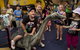 National Dinosaur Museum - thumb 0