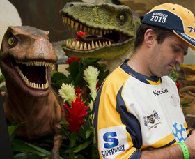 National Dinosaur Museum - Taree Accommodation 3