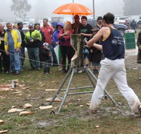 Lockyers Road Walking Track - Taree Accommodation