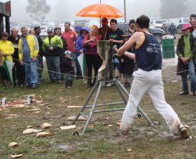 Lockyers Road Walking Track - Taree Accommodation 0