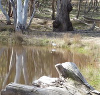 Mulligans Flat - Taree Accommodation